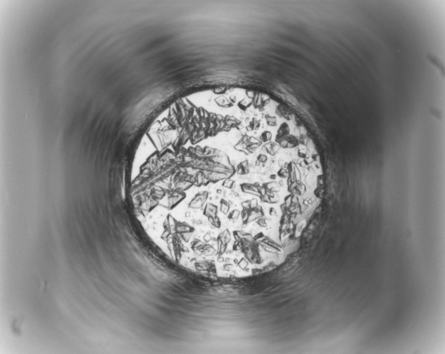 X0000100220062200806271736