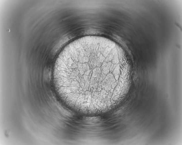 X0000100220063200806271736