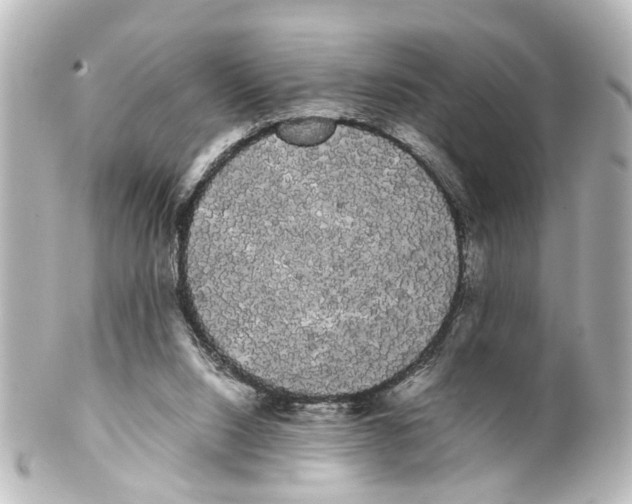 X0000100220064200806271736