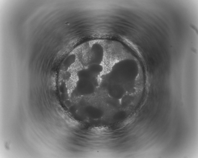 X0000100220065200806271736