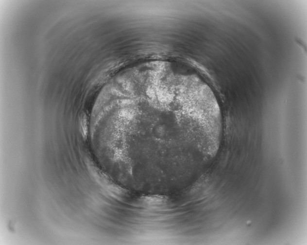 X0000100220069200806271736