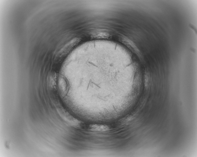 X0000100220073200806271736