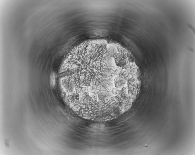 X0000100220075200806271736