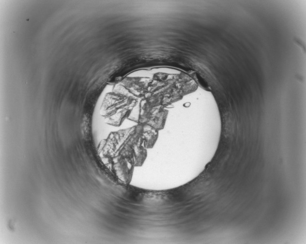 X0000100220077200806271736