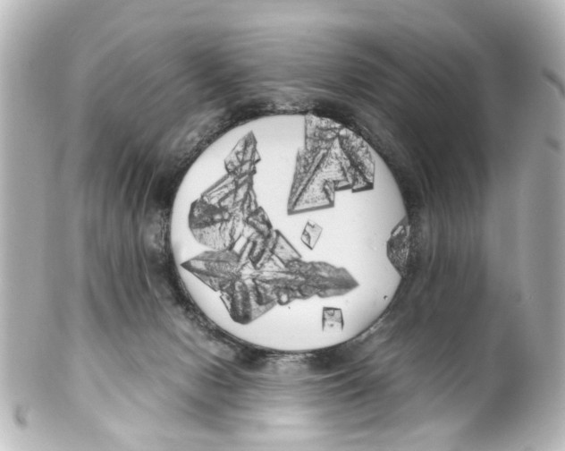 X0000100220078200806271736