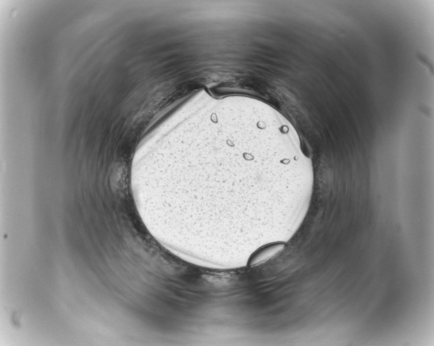 X0000100220079200806271736