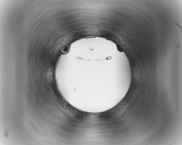 X0000100220080200806271736