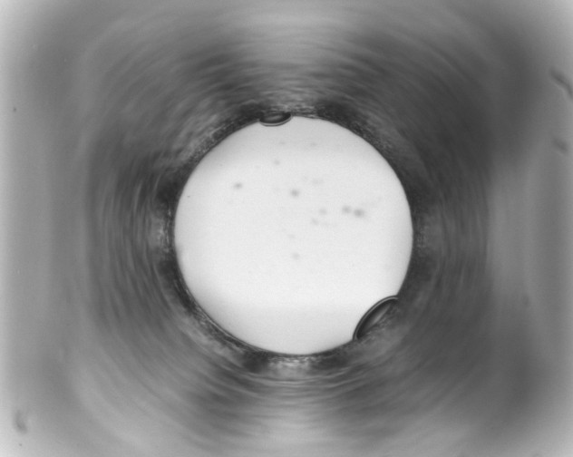 X0000100220084200806271737