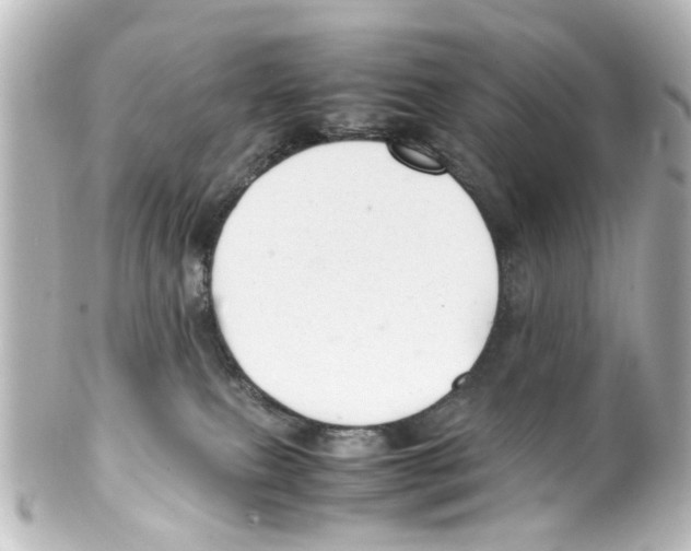 X0000100220087200806271737