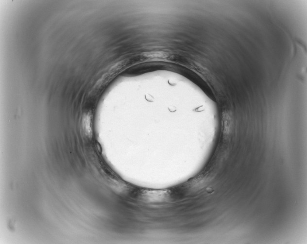 X0000100220089200806271737