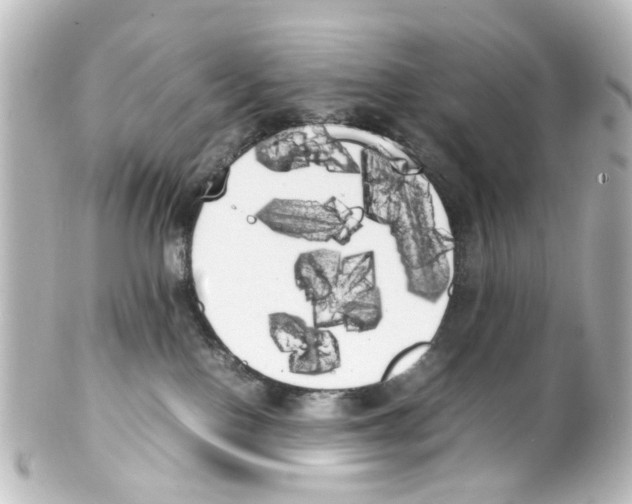 X0000100220090200806271737