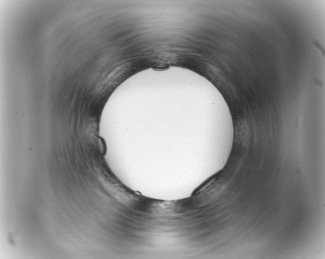 X0000100220092200806271737