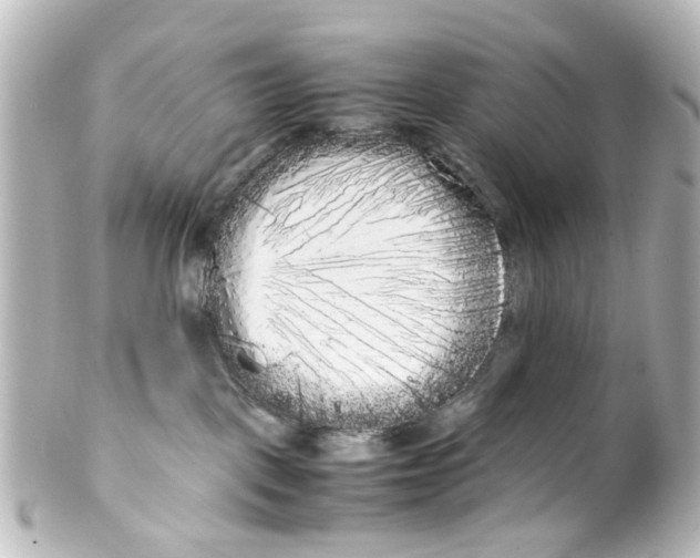 X0000100220093200806271737