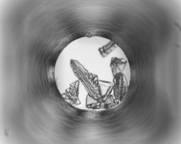 X0000100220094200806271737