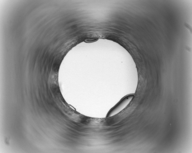 X0000100220096200806271737