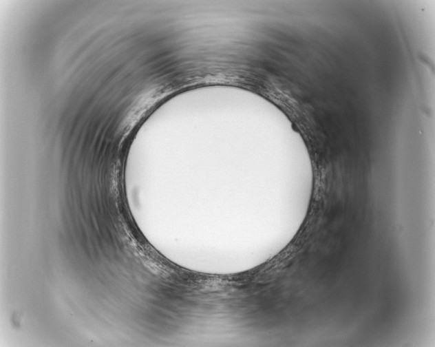 X0000100220098200806271736