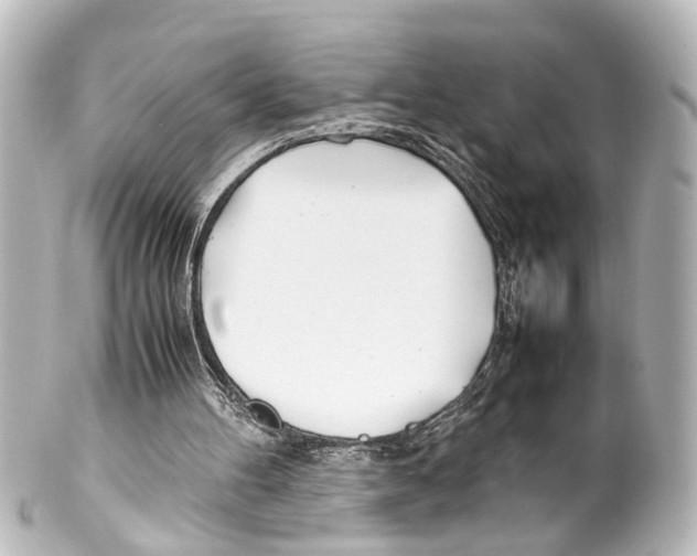 X0000100220100200806271736