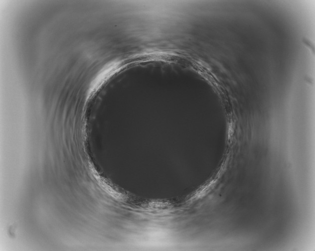 X0000100220101200806271736