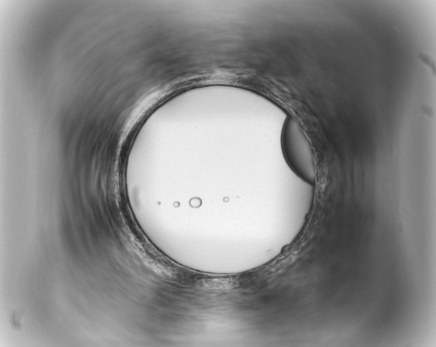 X0000100220102200806271736