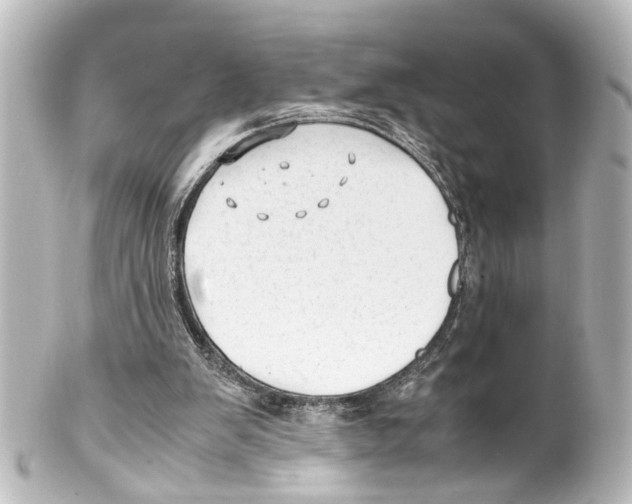 X0000100220103200806271736