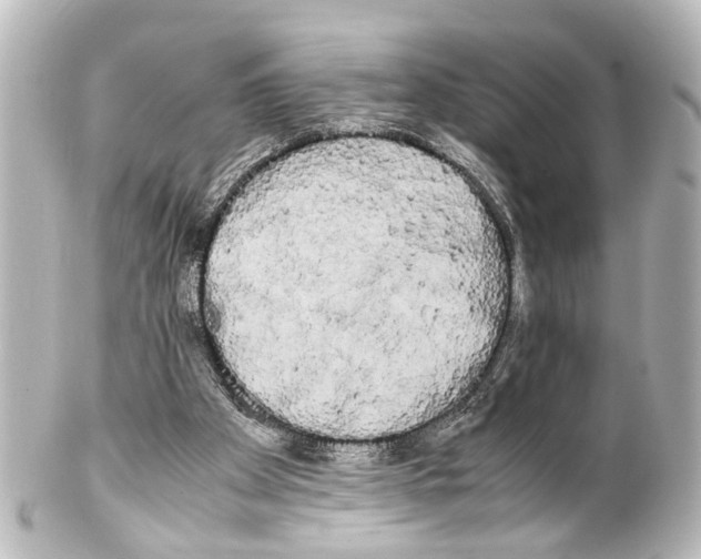 X0000100220105200806271736