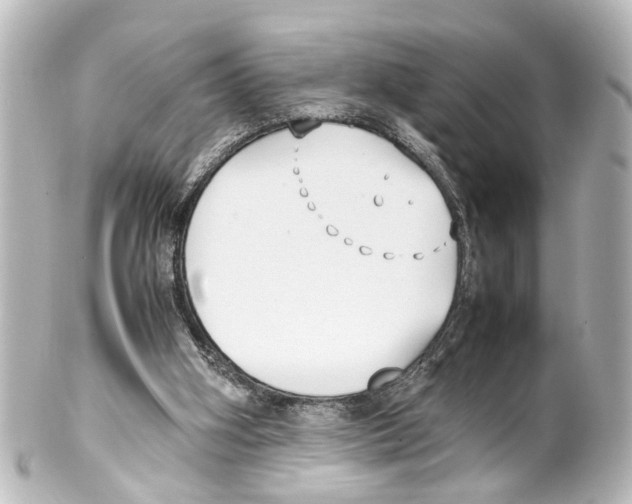 X0000100220106200806271736