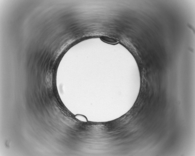 X0000100220108200806271736