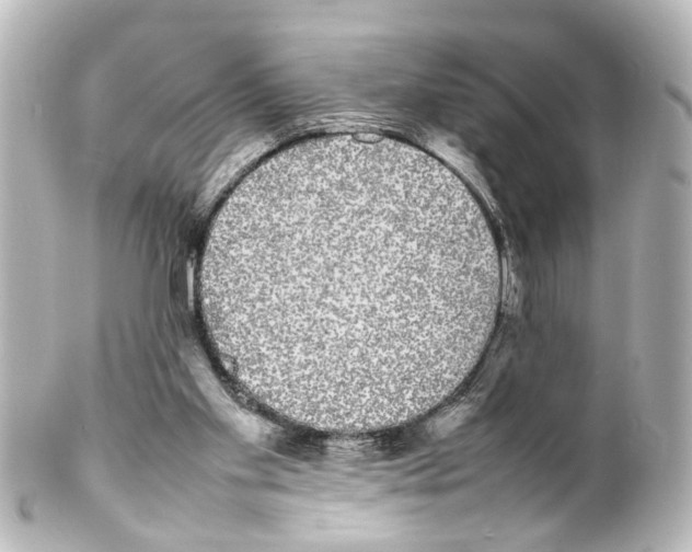 X0000100220109200806271736