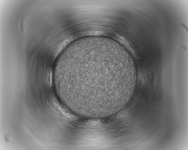 X0000100220110200806271736