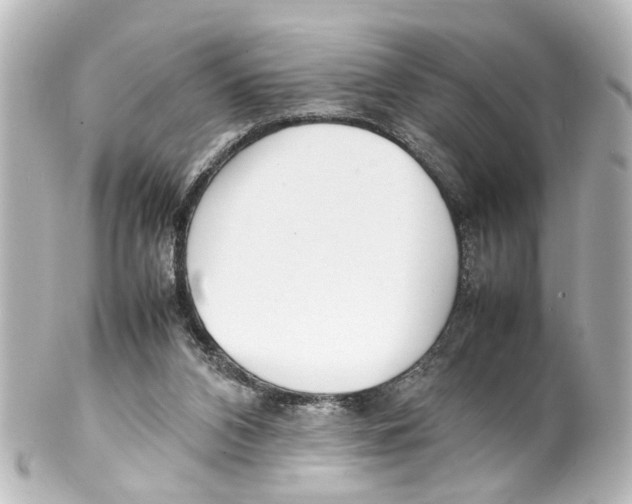 X0000100220112200806271736