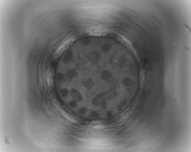 X0000100220114200806271736