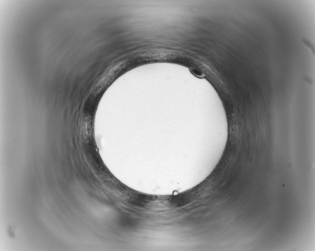 X0000100220119200806271736