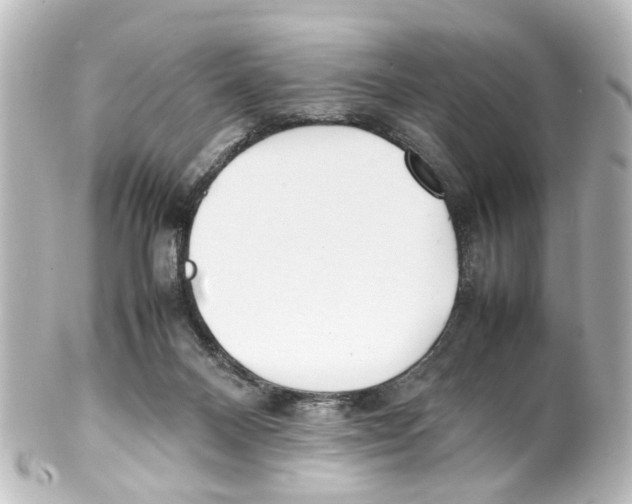 X0000100220120200806271736