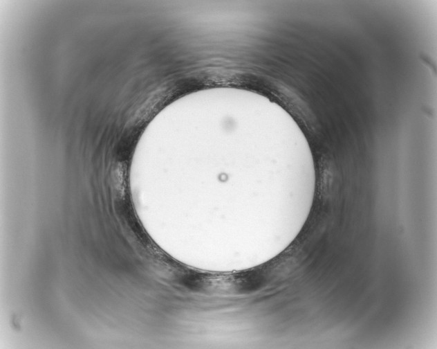 X0000100220121200806271736