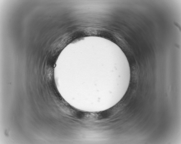 X0000100220125200806271736