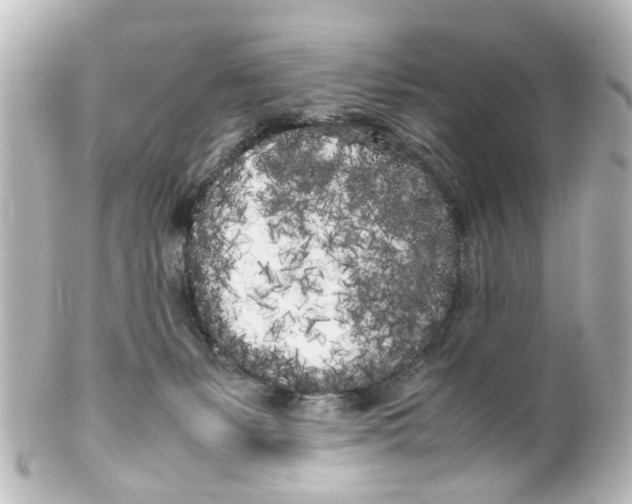 X0000100220127200806271736