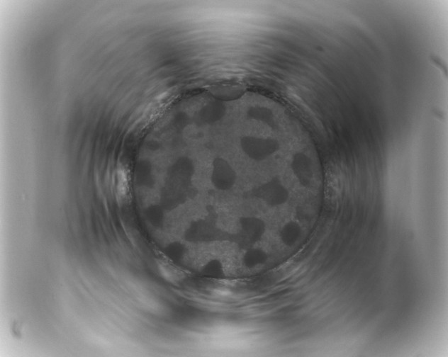 X0000100220130200806271736