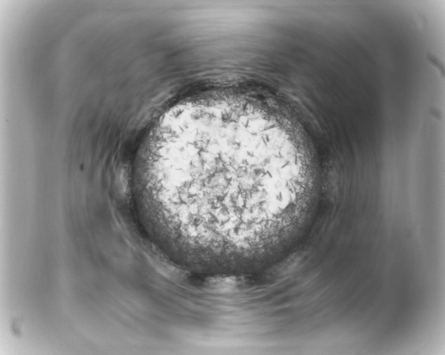 X0000100220131200806271736