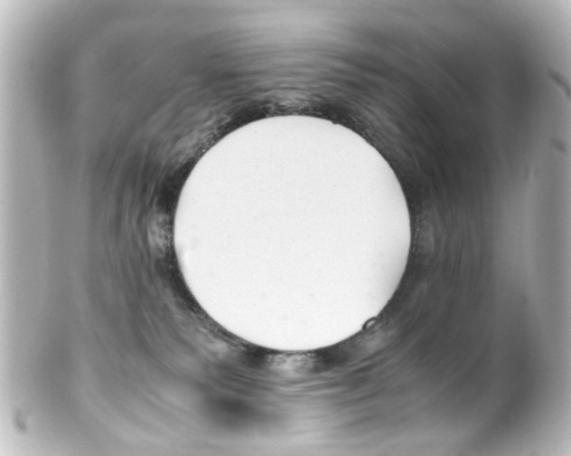 X0000100220135200806271736