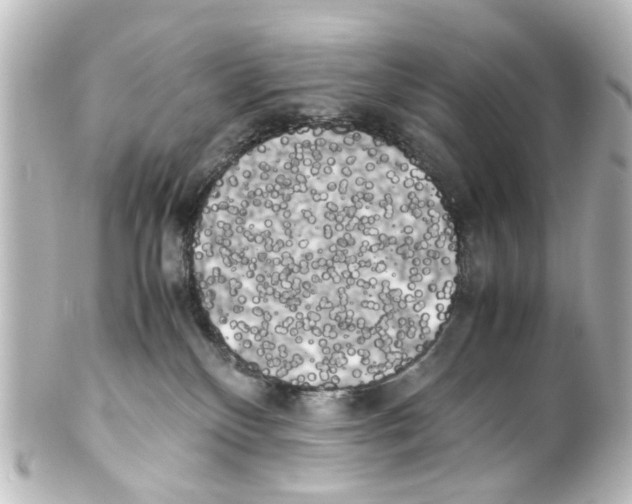 X0000100220136200806271735