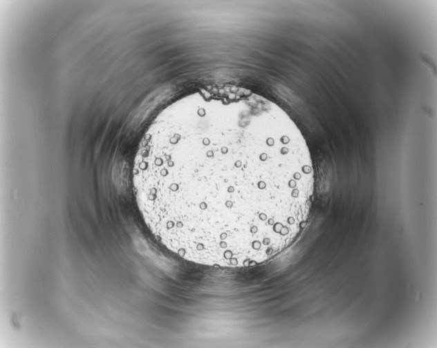 X0000100220140200806271735