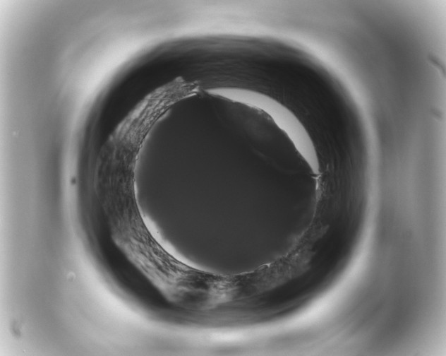 X0000100220143200806271735