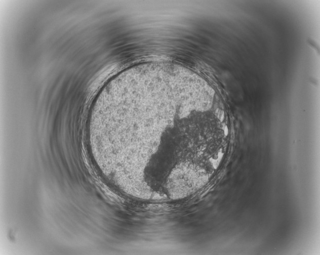 X0000100220145200806271735