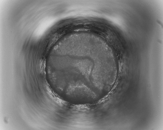 X0000100220146200806271735