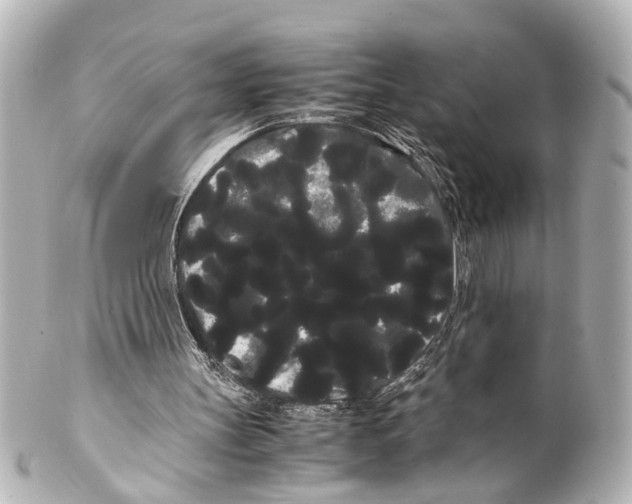 X0000100220147200806271735