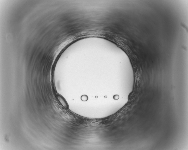 X0000100220148200806271735