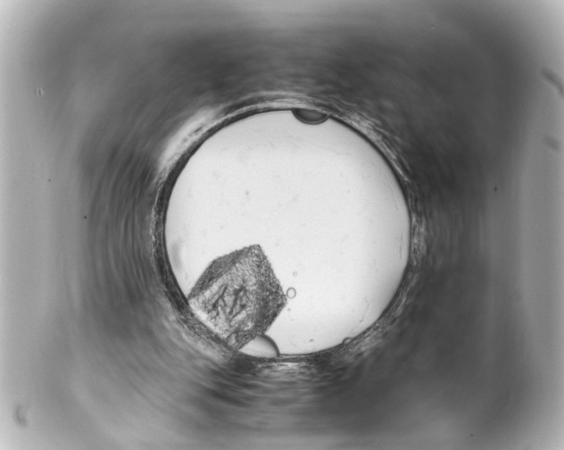 X0000100220151200806271735