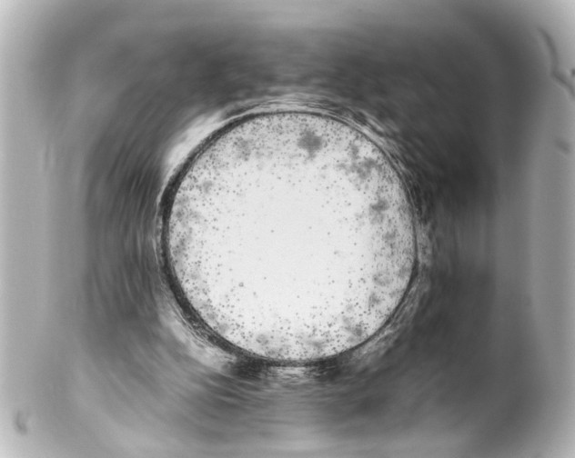 X0000100220152200806271735