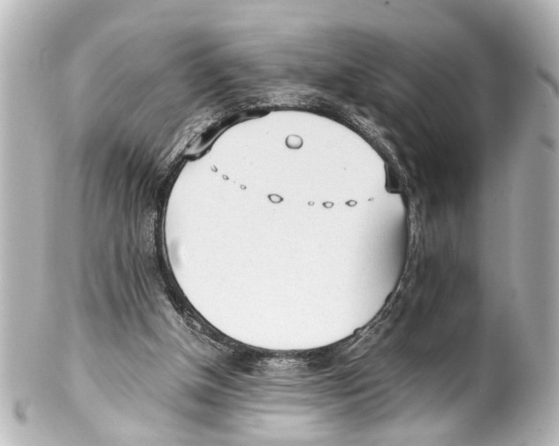 X0000100220154200806271735