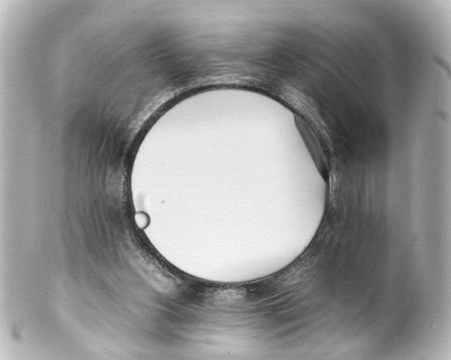 X0000100220156200806271735